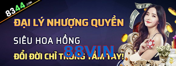 88VIN